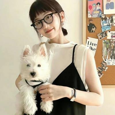 狐狸躲进洞